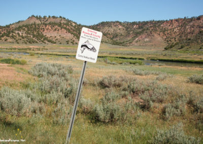 July picture of Rosebud County Conservation sign on the Tongue River. Image is from the Powder River and Tongue River, Montana Picture Tour.