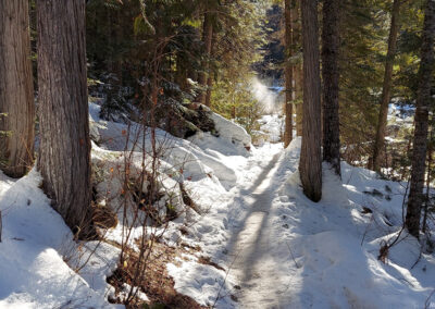 February picture of steam rising from the very first Hot Springs in the Clearwater National Forest. Image is from the Jerry Johnson Hot Springs Picture Tour.