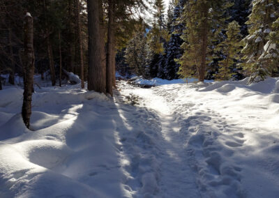 February picture of a snow covered Jerry Johnson Hot Springs foot trail. Image is from the Jerry Johnson Hot Springs Picture Tour.