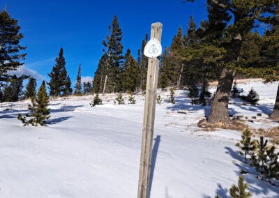 December winter view of a Continental Divide trail marker on Stemple Pass. The pass is located 20 miles south of Lincoln Montana.