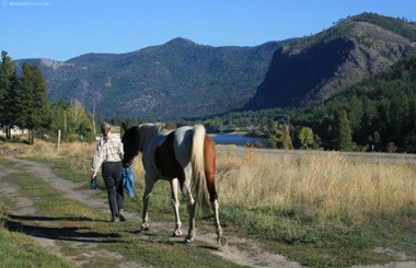 Small picture of a horse and rider in Alberton, Montana. Image is part of the Alberton, Montana Picture Tour.