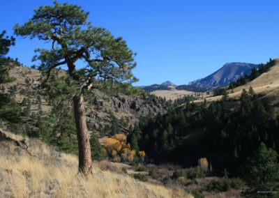 The view east from the Beartooth WMA of The Gates Of The Mountains Wilderness