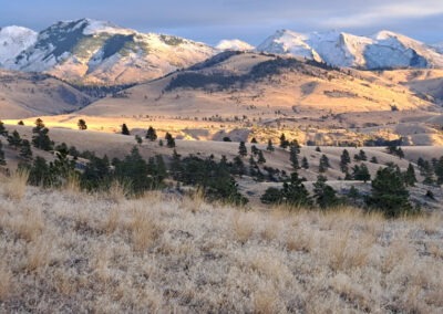 View Of The Gates Of The Mountains Wilderness From the Beartooth WMA