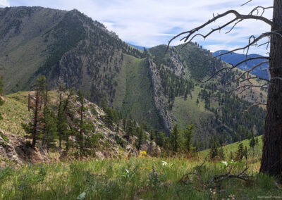 Photo of the view east from The Gates Of The Mountains Wilderness