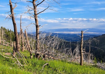 Photo of the View south from The Gates Of The Mountains Wilderness