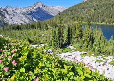 July picture of Blodgett Lake from the west valley wall. Image is from the Blodgett Canyon, Montana Picture Tour.