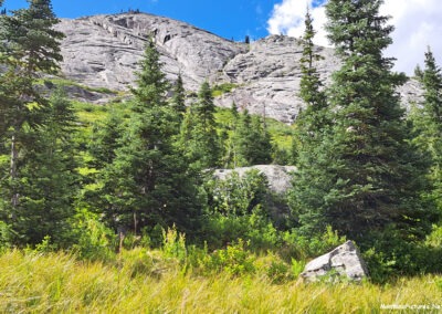 July picture of the gray rock of the North Valley wall on the Blodgett Canyon trail. Image is from the Blodgett Canyon, Montana Picture Tour.