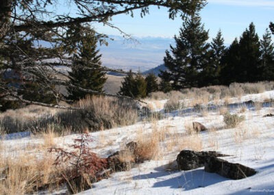 November view of the Bridger Mountains from the Elkhorn Wildlife Management Area near Radersburg, Montana