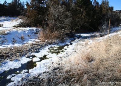 November picture of a water source in the Elkhorn Wildlife Management Area near Radersburg, Montana